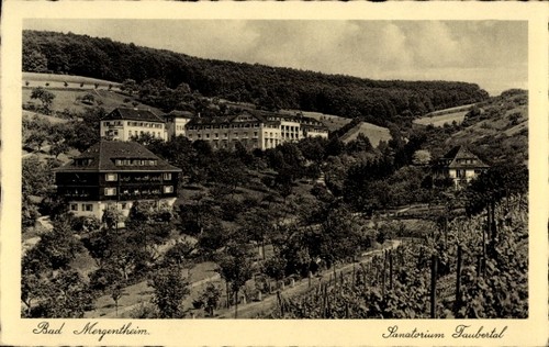 Bad mergentheim in - bad,